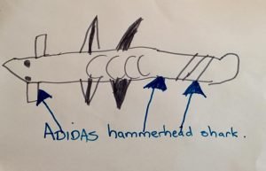 Adidas hammerhead shark